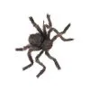 Spirit Halloween 20 Inch Hairy Spider -Deals Shop By Theme Store 00591081 a