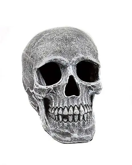 Spirit Halloween Large Realistic Skull Prop 3 Spirit Halloween Large Realistic Skull Prop