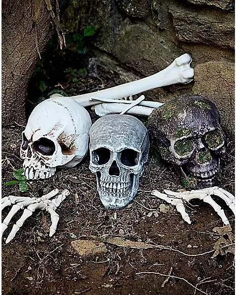 Spirit Halloween Large Realistic Skull Prop 4 Spirit Halloween Large Realistic Skull Prop - Image 2
