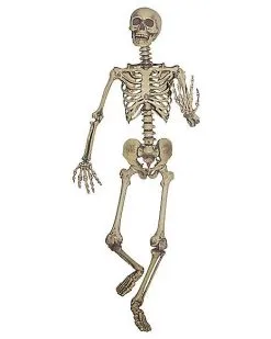 Spirit Halloween 5 Ft Hanging Skeleton Decoration