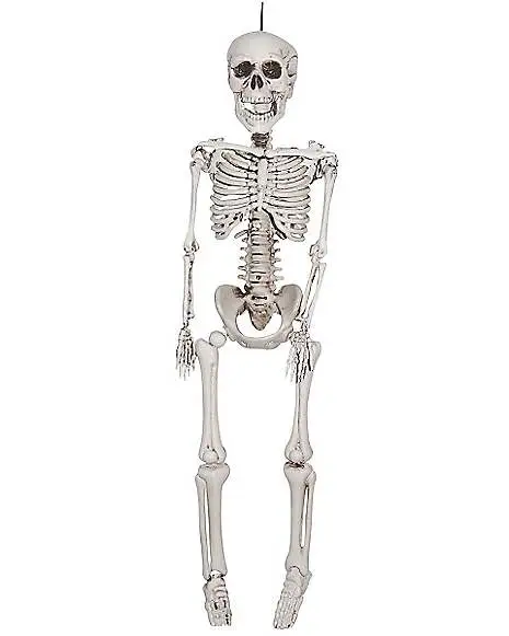 Spirit Halloween 20 In Plastic Skeleton 3 Spirit Halloween 20 In Plastic Skeleton