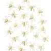 Spirit Halloween Glow In The Dark Spiders - 24 Pack 2 Spirit Halloween Glow In The Dark Spiders - 24 Pack -Deals Shop By Theme Store 01251032 a