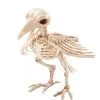 Spirit Halloween Skeleton Crow -Deals Shop By Theme Store 01270800 a