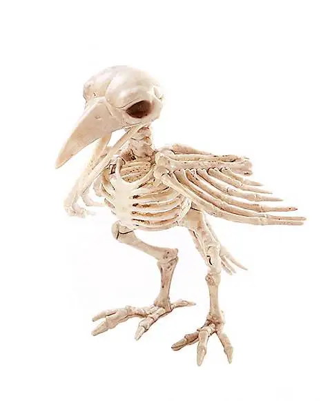 Spirit Halloween Skeleton Crow 3 Spirit Halloween Skeleton Crow