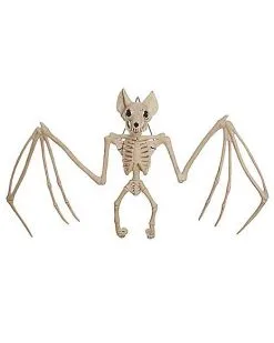 Spirit Halloween 22.5 Inch Bat Skeleton