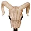Spirit Halloween Ram Skull Decoration -Deals Shop By Theme Store 01312255 a