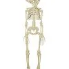 Spirit Halloween 20 Inch Two-Headed Skeleton -Deals Shop By Theme Store 01344241 a