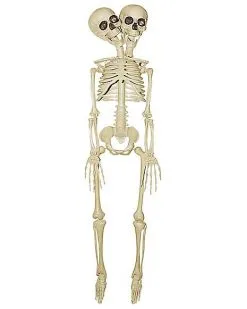 Spirit Halloween 20 Inch Two-Headed Skeleton