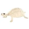 Spirit Halloween Skeleton Turtle - Decorations -Deals Shop By Theme Store 01387117 a
