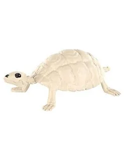 Spirit Halloween Skeleton Turtle - Decorations