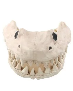 Spirit Halloween Shark Skull - Decorations
