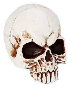 Spirit Halloween Jawless Skull