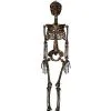 Spirit Halloween Moss Skeleton -Deals Shop By Theme Store 01477140 a