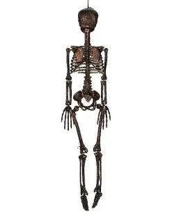 Spirit Halloween Moss Skeleton -Deals Shop By Theme Store 01477140 c