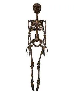 Spirit Halloween Moss Skeleton -Deals Shop By Theme Store 01477140 d