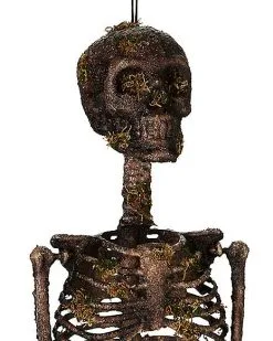 Spirit Halloween Moss Skeleton -Deals Shop By Theme Store 01477140 f