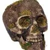 Spirit Halloween Moss Skull -Deals Shop By Theme Store 01477157 a