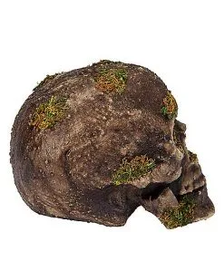 Spirit Halloween Moss Skull -Deals Shop By Theme Store 01477157 b