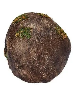 Spirit Halloween Moss Skull -Deals Shop By Theme Store 01477157 c