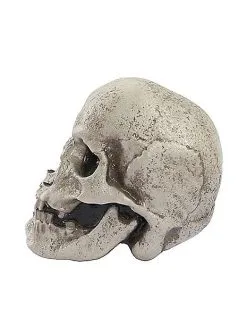 Spirit Halloween Mutant Skull -Deals Shop By Theme Store 01528868 d
