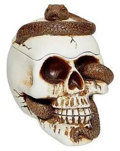 Spirit Halloween Snake Skull Box