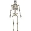 Spirit Halloween 5 Ft. Digieye Hanging Skeleton Decoration -Deals Shop By Theme Store 01547751 a
