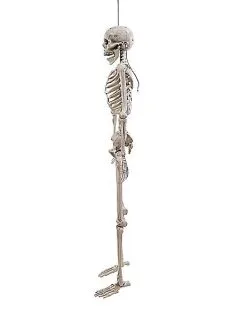 Spirit Halloween 5 Ft. Digieye Hanging Skeleton Decoration -Deals Shop By Theme Store 01547751 d