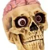 Spirit Halloween Skull With Brain Decoration -Deals Shop By Theme Store 01573070 a