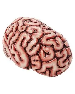 Spirit Halloween Brain Prop