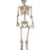 Spirit Halloween 5 Ft Pose 'N' Stay Skeleton 1 Spirit Halloween 5 Ft Pose 'N' Stay Skeleton -Deals Shop By Theme Store 07125149 a
