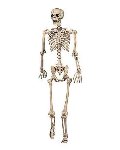 Spirit Halloween 5 Ft Pose 'N' Stay Skeleton