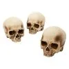 Spirit Halloween Jawless Skull Set - 3 Pack 1 Spirit Halloween Jawless Skull Set - 3 Pack -Deals Shop By Theme Store 07641780 a