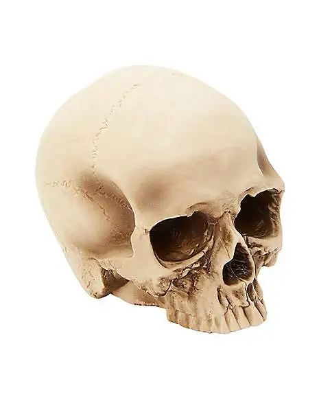 Spirit Halloween Jawless Skull Set - 3 Pack 4 Spirit Halloween Jawless Skull Set - 3 Pack - Image 2