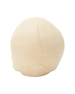 Spirit Halloween Jawless Skull Set - 3 Pack 9 Spirit Halloween Jawless Skull Set - 3 Pack -Deals Shop By Theme Store 07641780 d