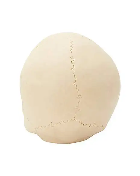 Spirit Halloween Jawless Skull Set - 3 Pack 6 Spirit Halloween Jawless Skull Set - 3 Pack - Image 4